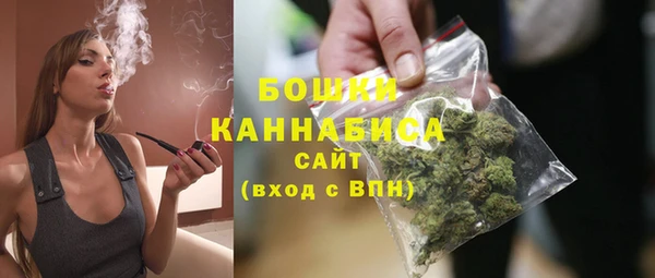 прущие грибы Аркадак