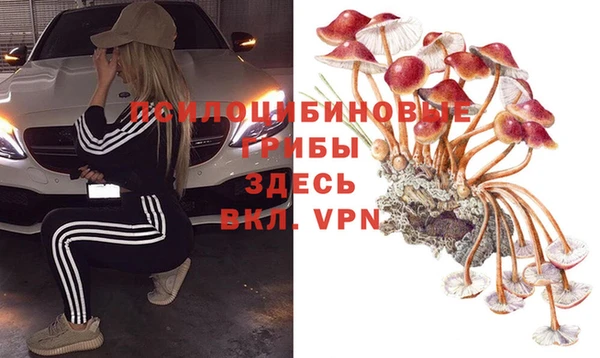 стафф Зеленодольск