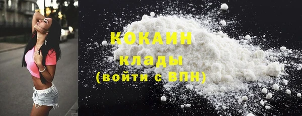 гидропоника Дмитриев