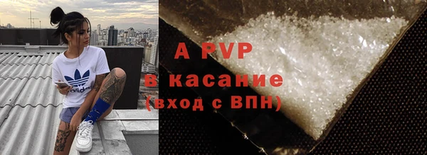 прущие грибы Аркадак