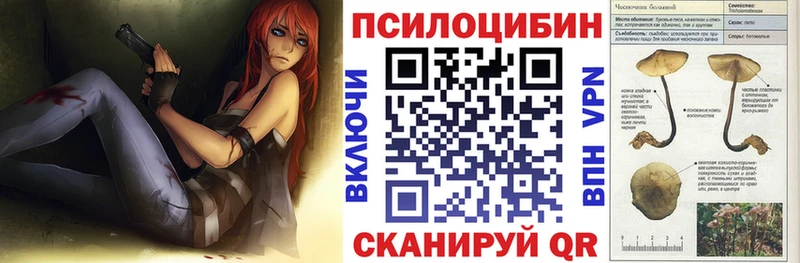 купить наркоту  Чадан  Псилоцибиновые грибы ЛСД 